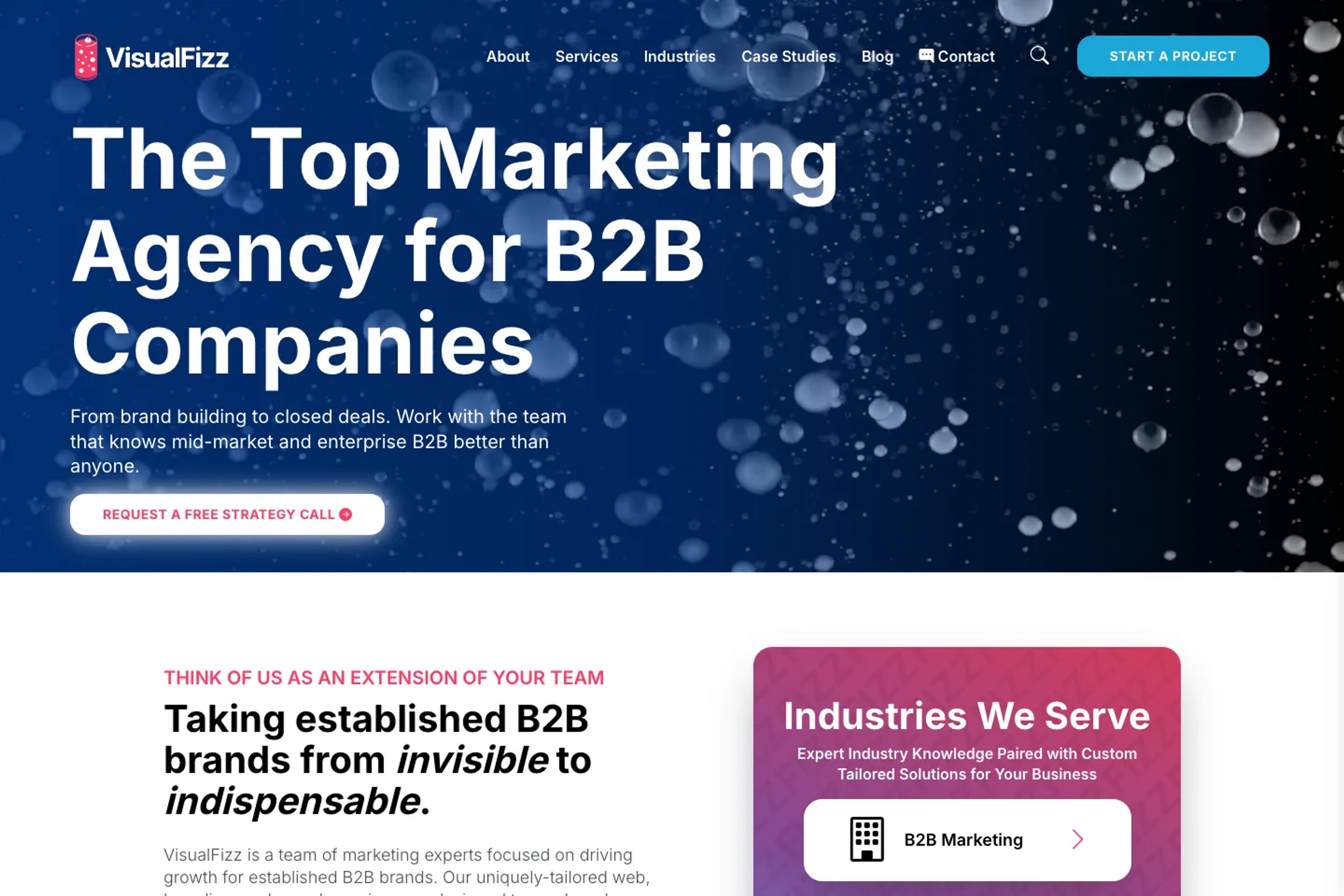 VisualFizz website homepage