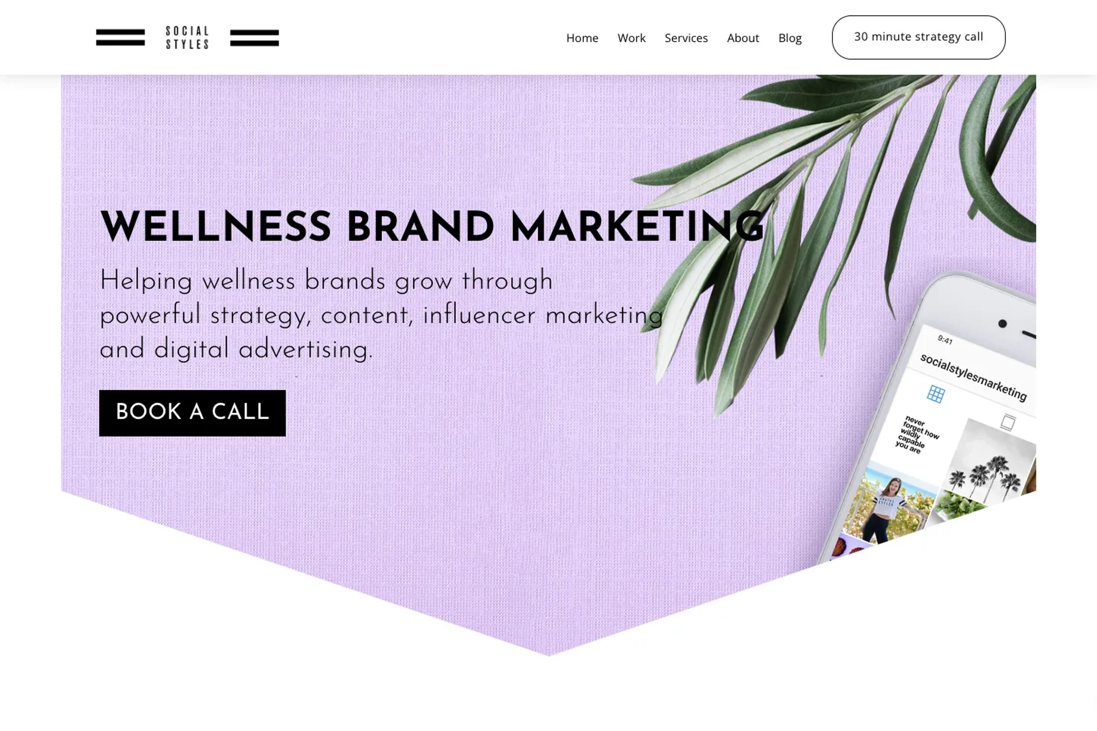 Social Styles website homepage