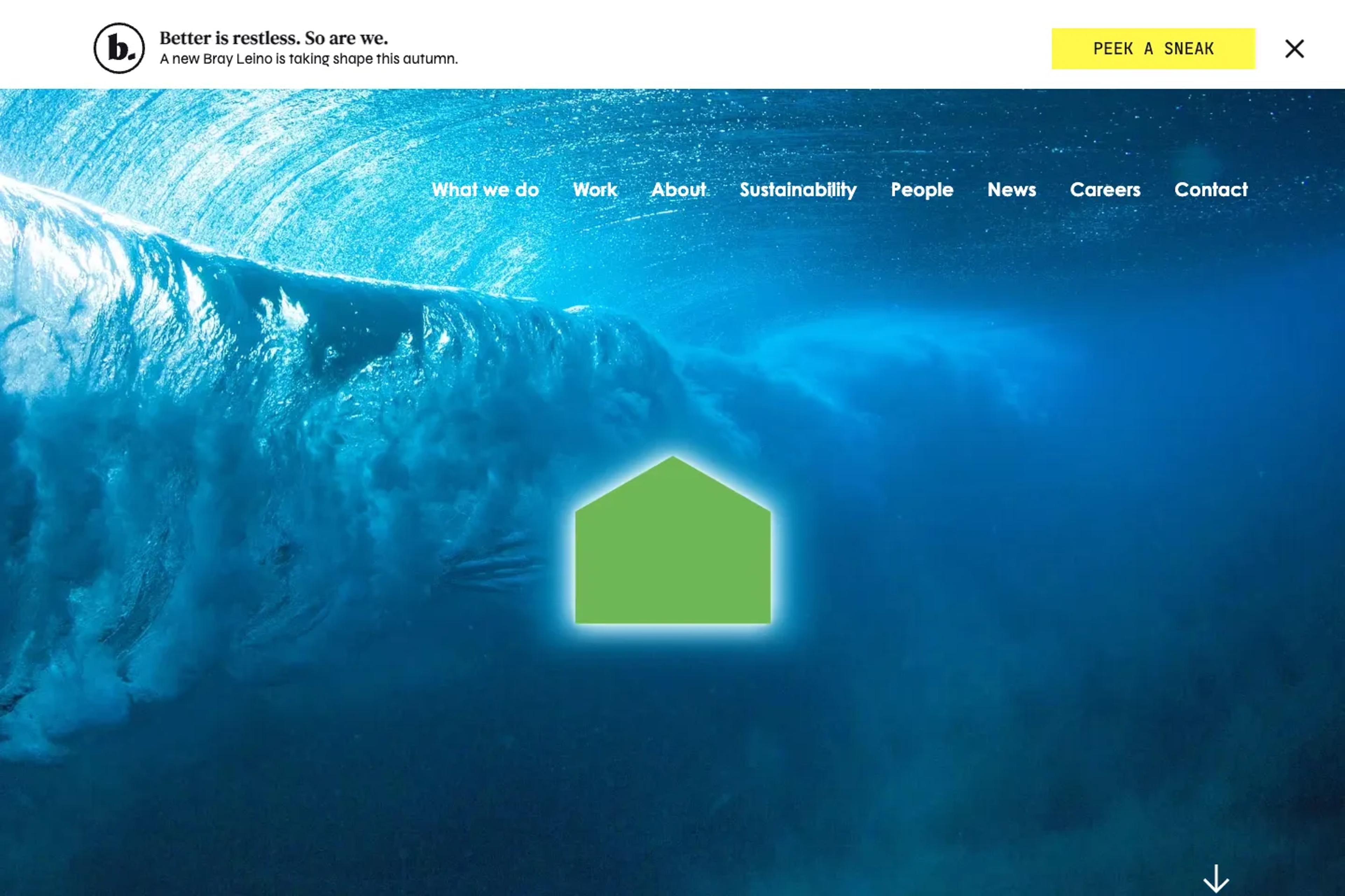 Bray Leino website homepage
