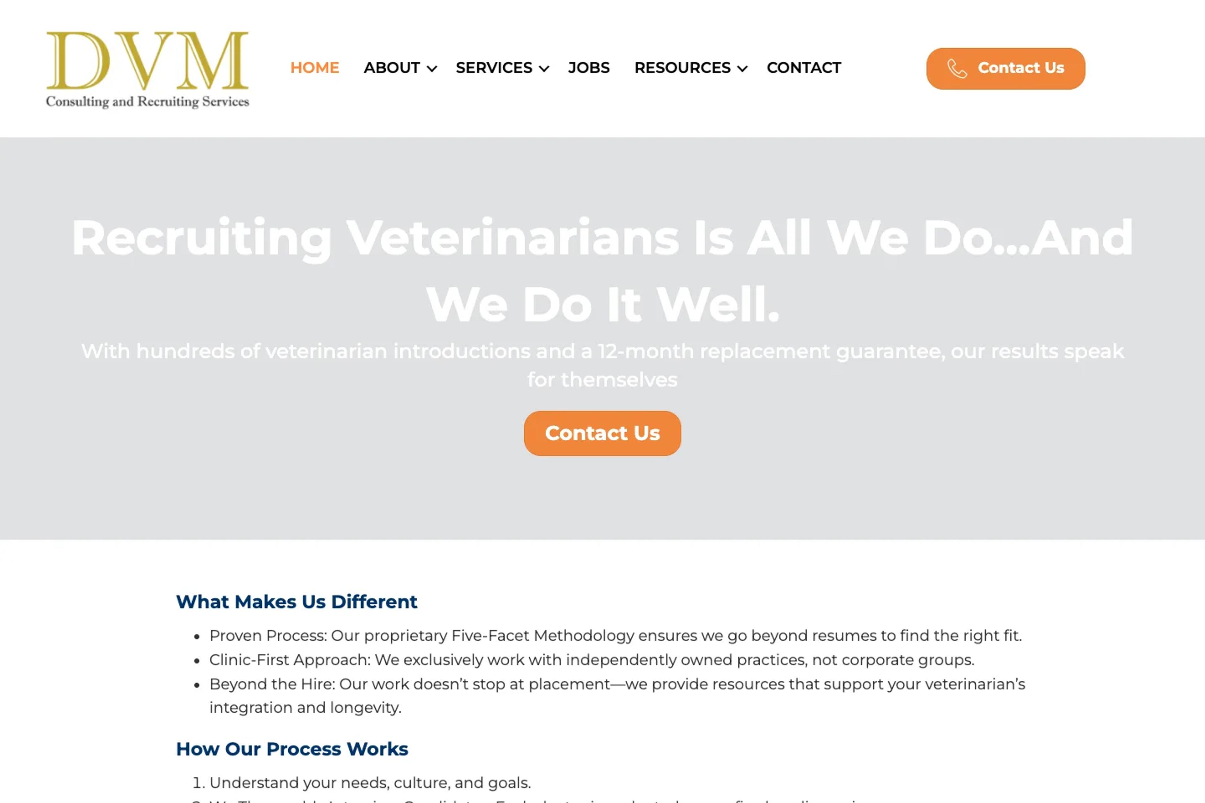 DVM Recruiting Services website homepage