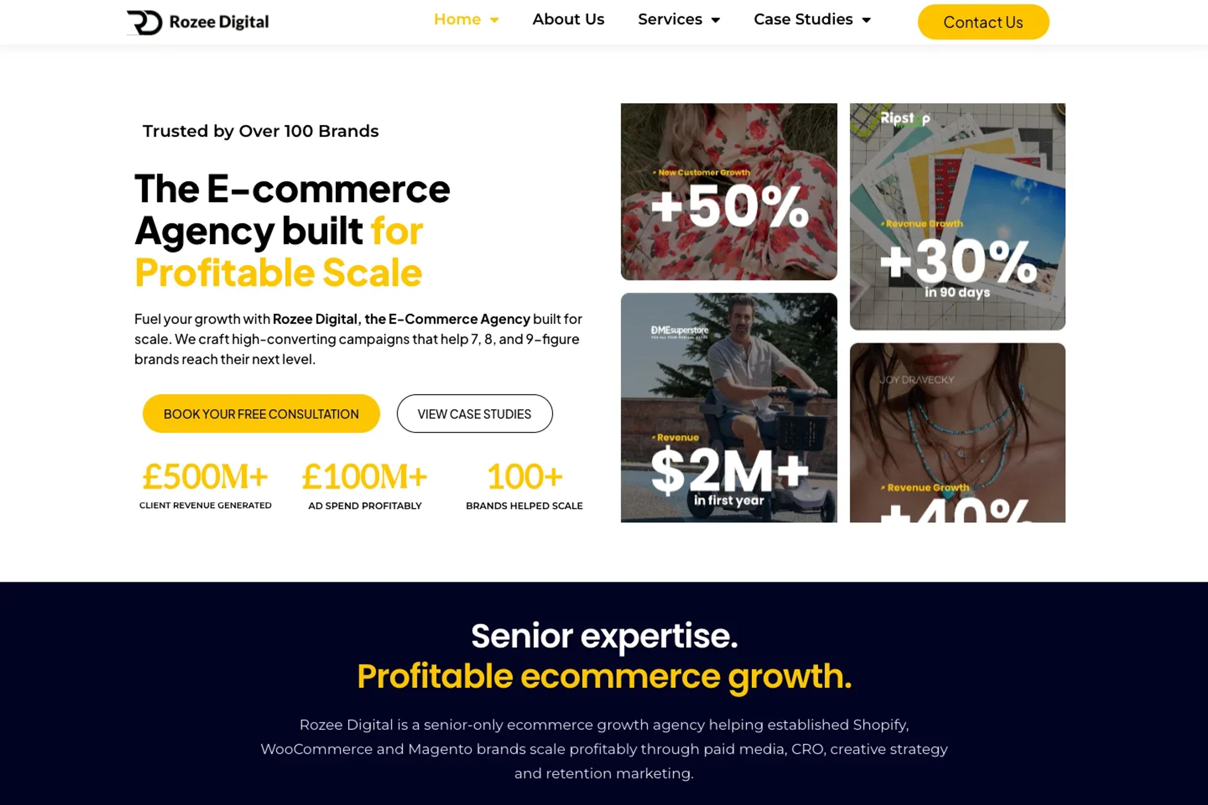 Rozee Digital website homepage