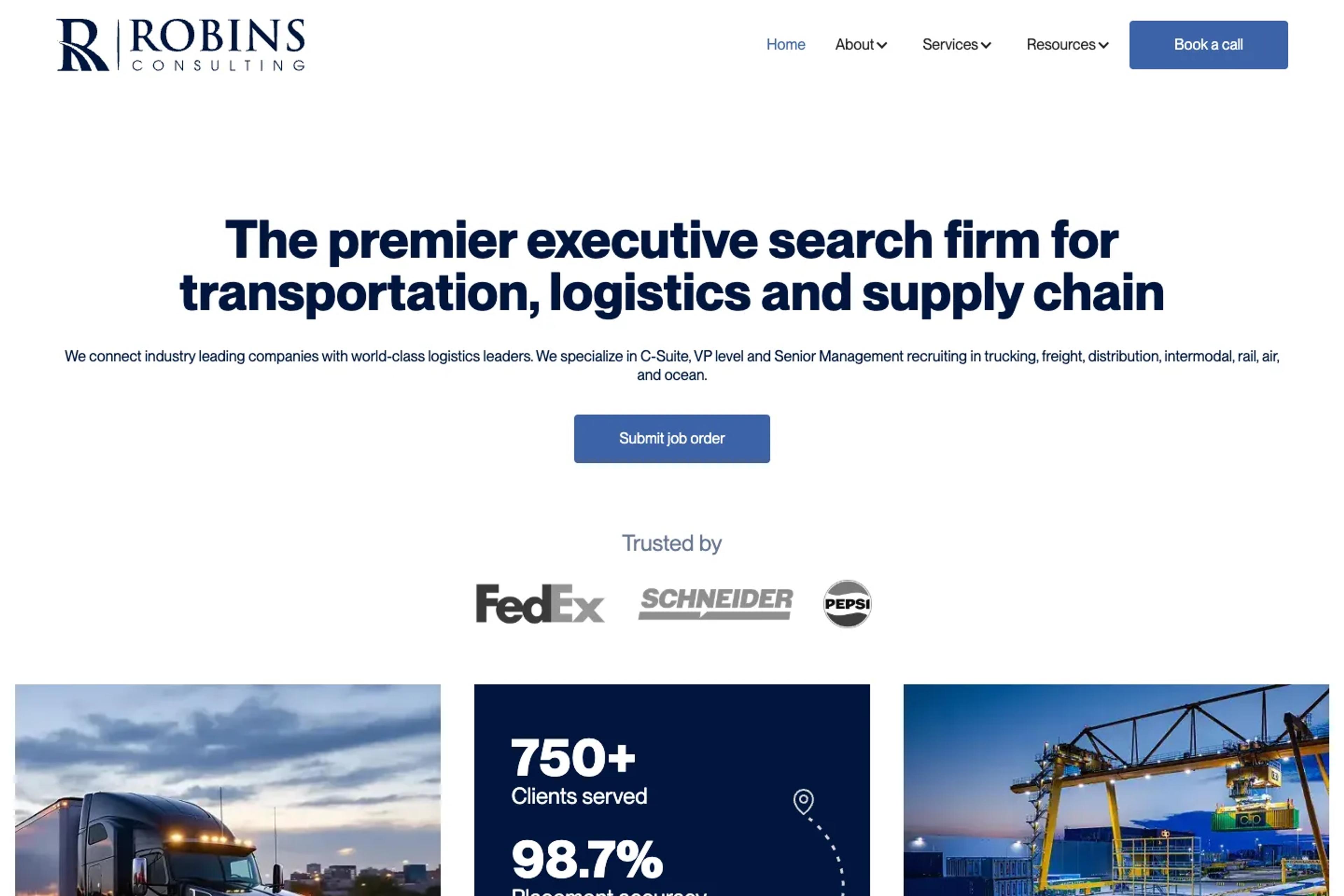 Robins Consulting website homepage