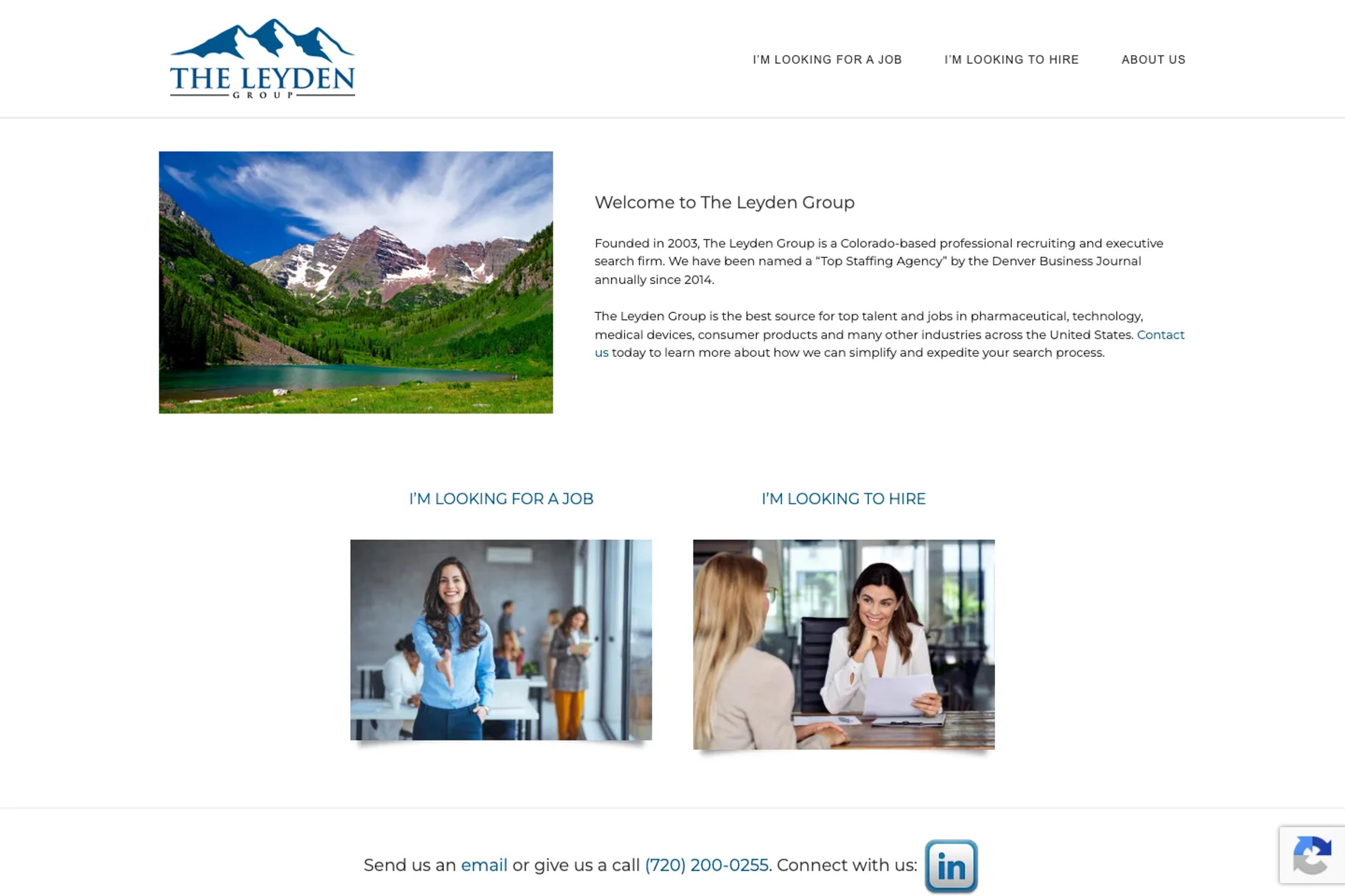 The Leyden Group website homepage