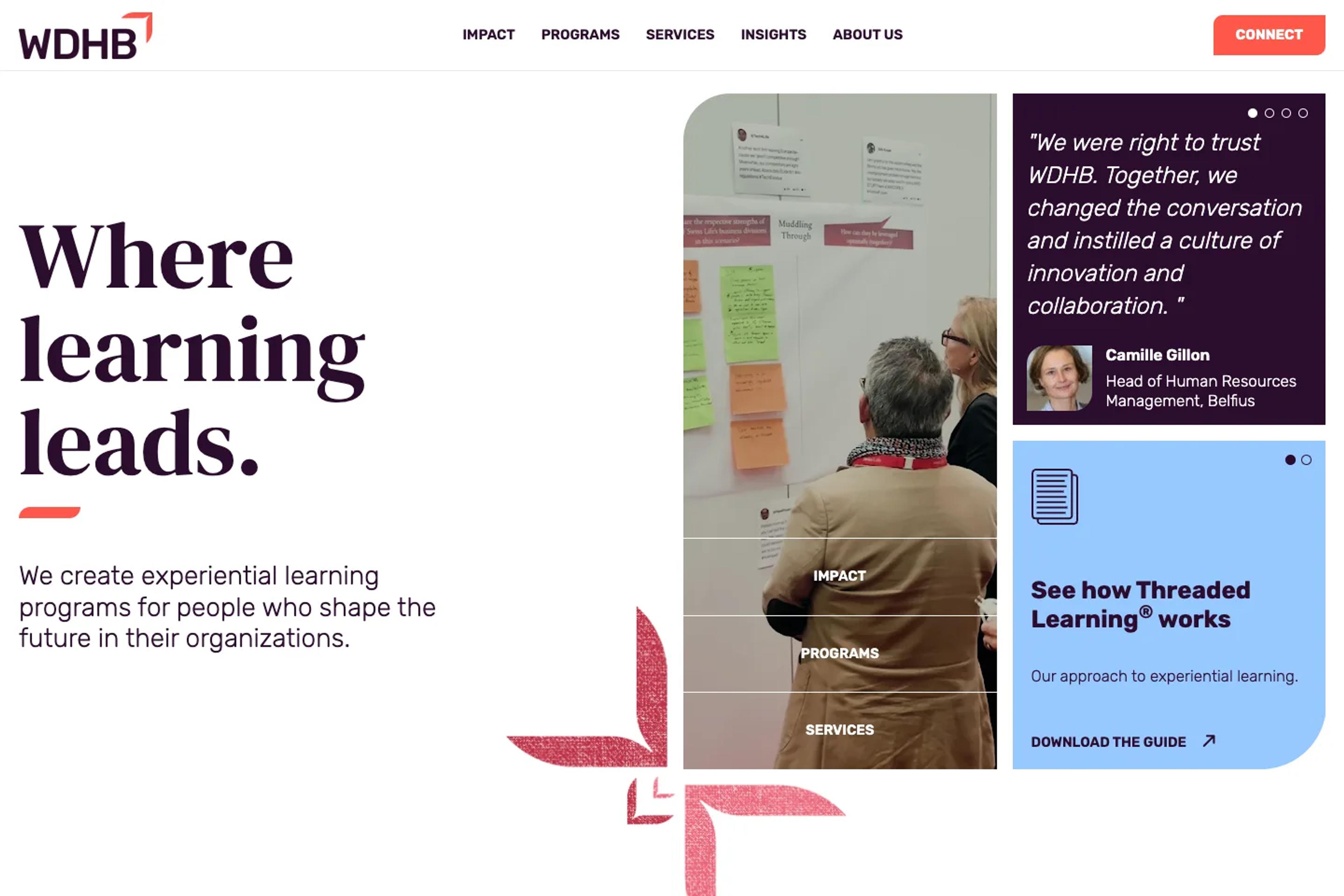 WDHB website homepage