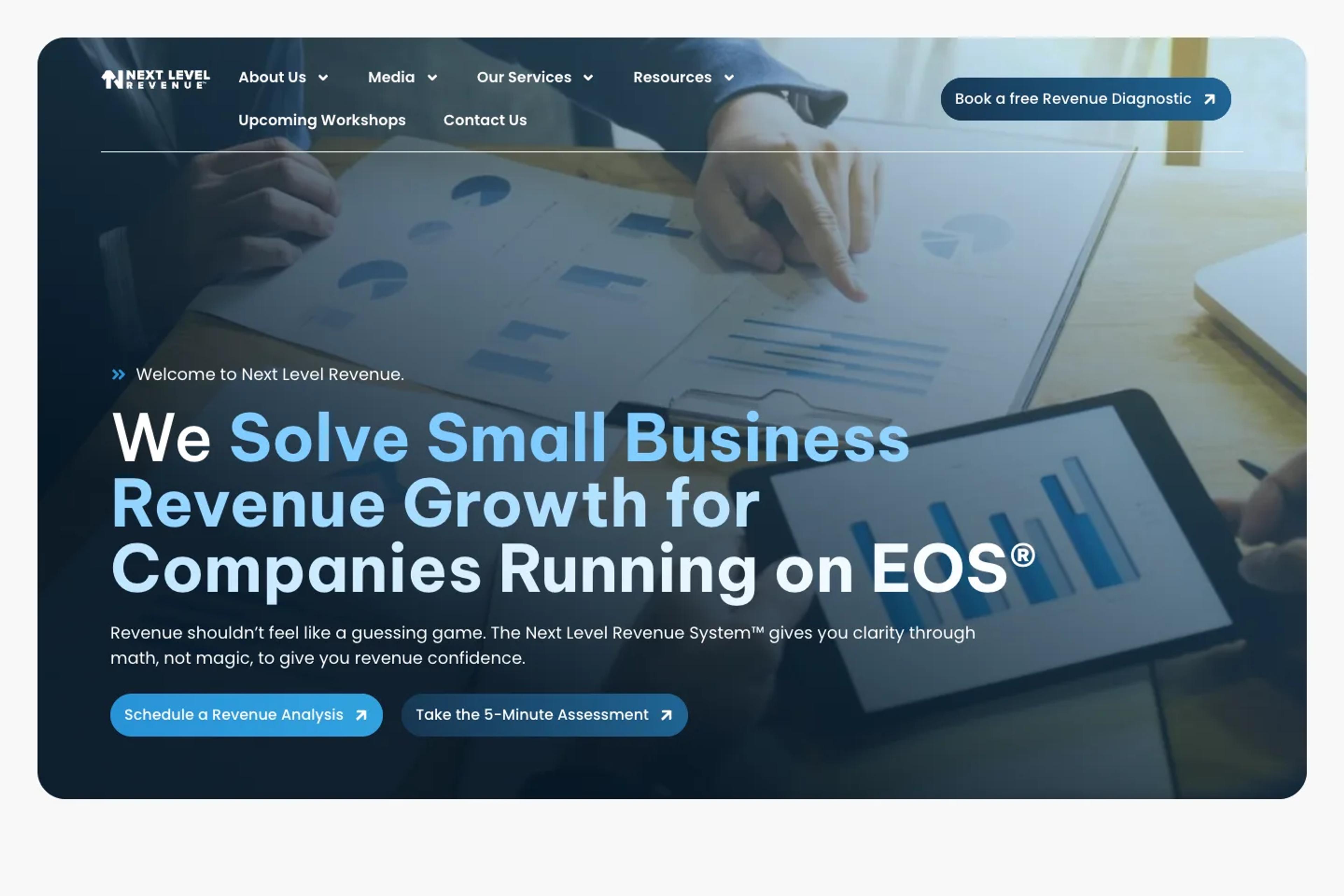 Next Level Revenue website homepage