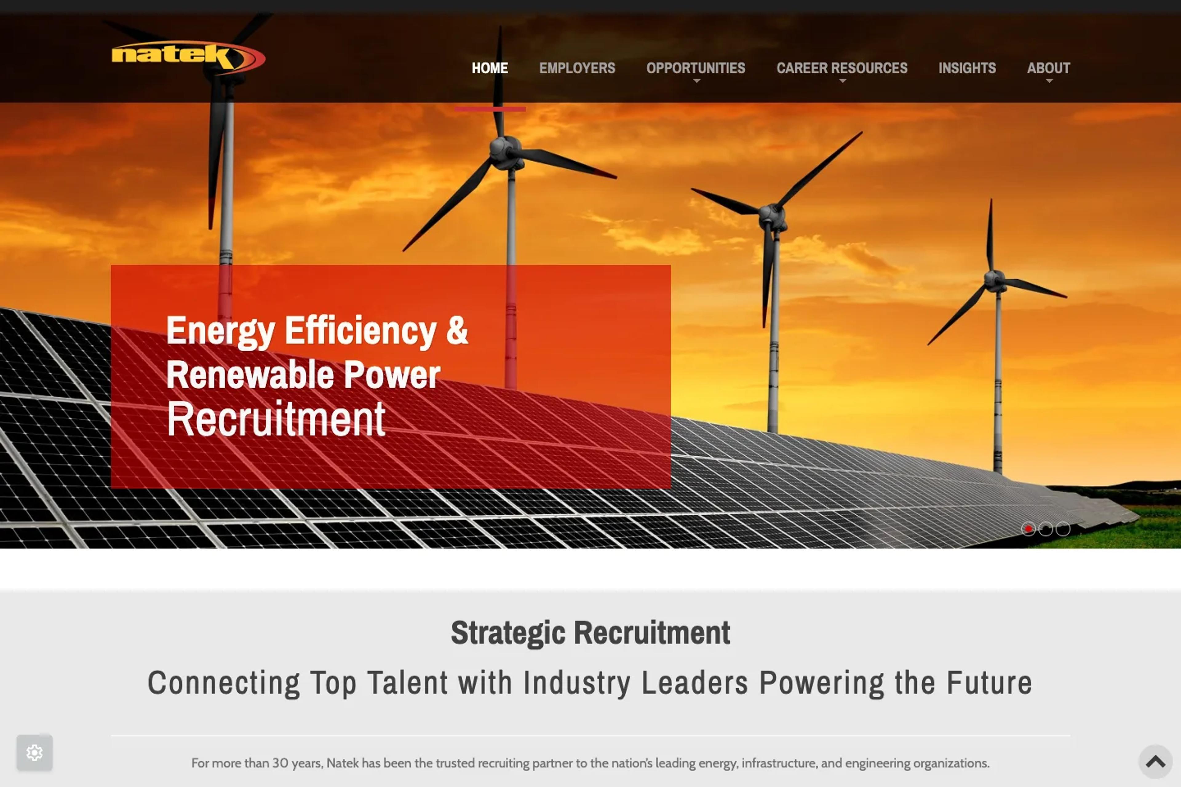 Natek website homepage