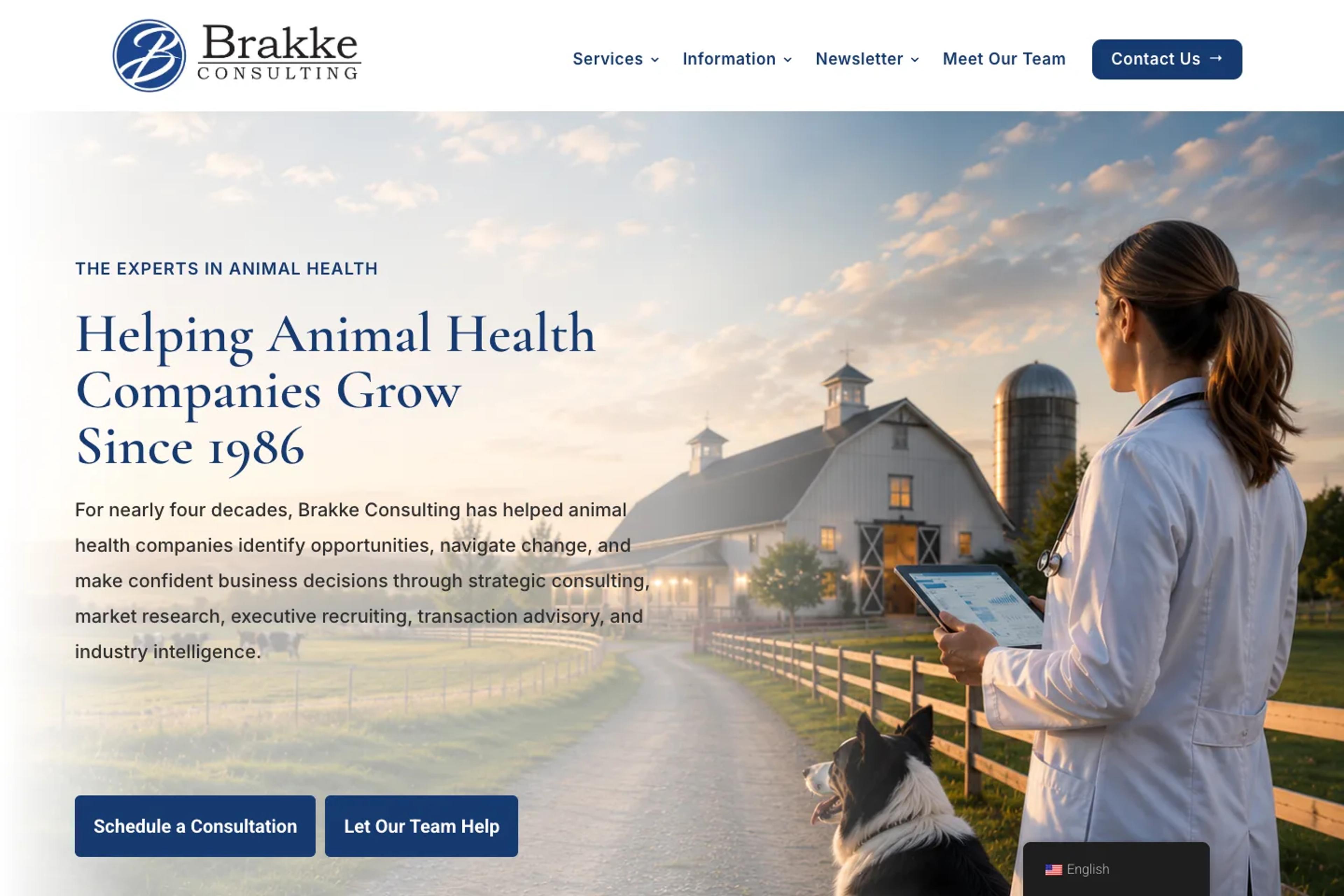 Brakke Consulting website homepage