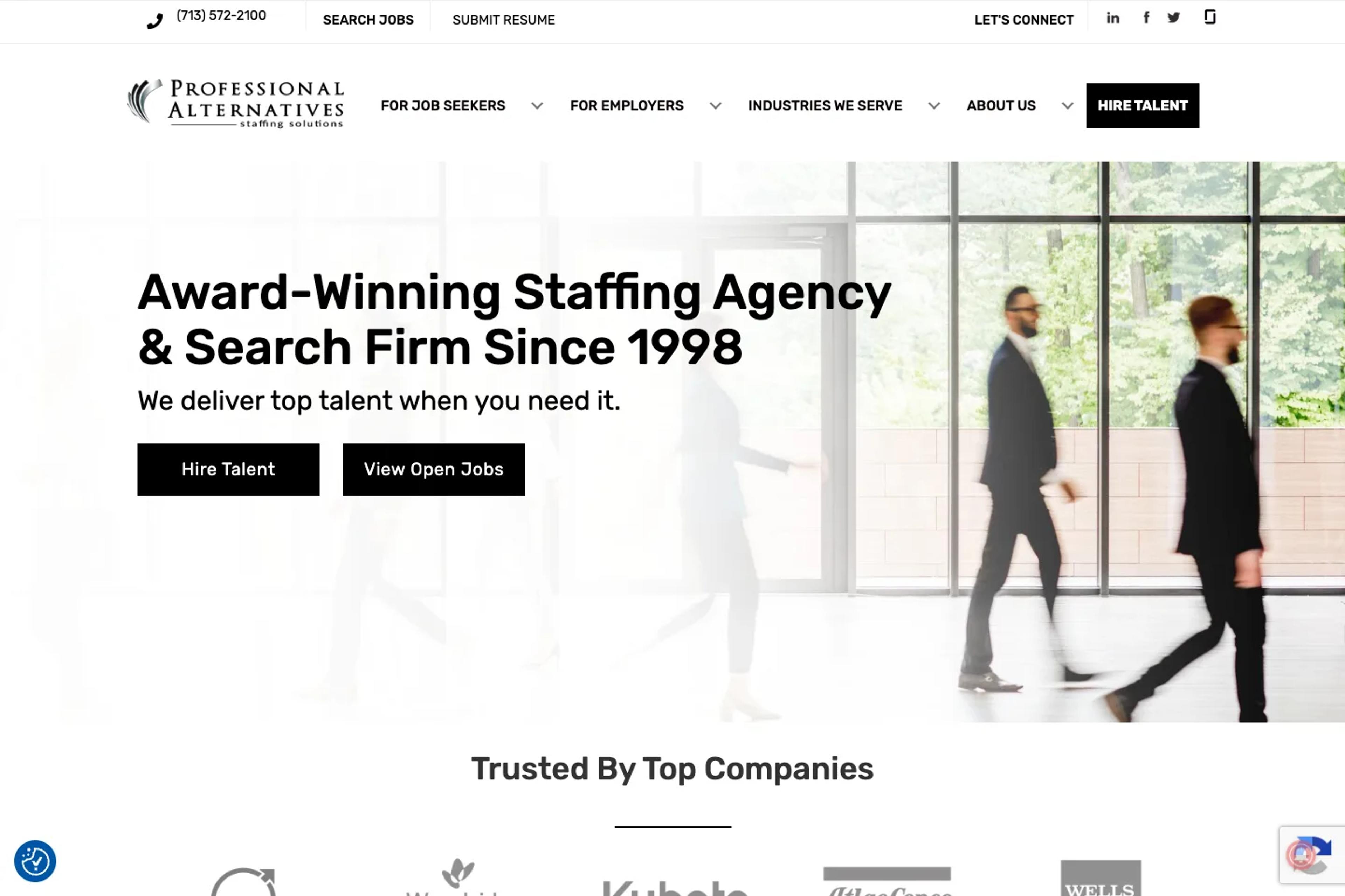 Professional Alternatives website homepage