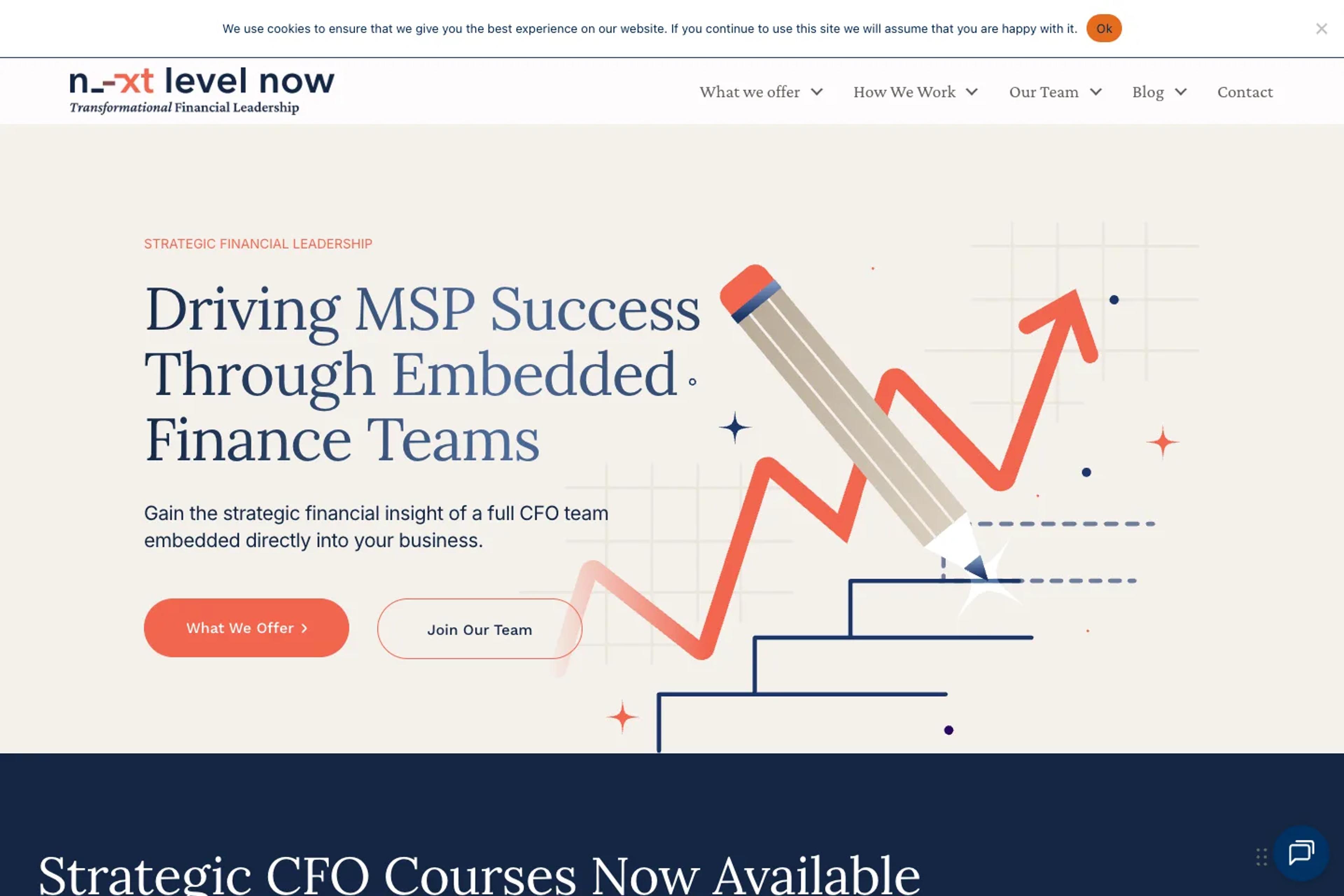 Next Level Now website homepage