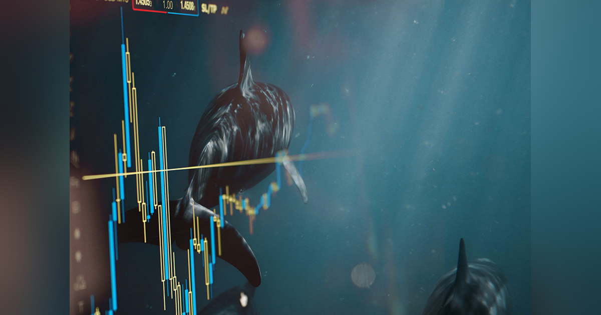 How Real Is Shark Tank?