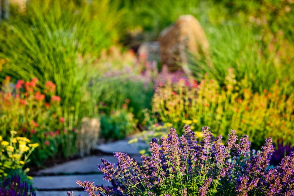 Cobb Lake Estate Fort Collins, Colorado
