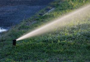 water-nature-grass-field-lawn-meadow-sprinkler-irrigation