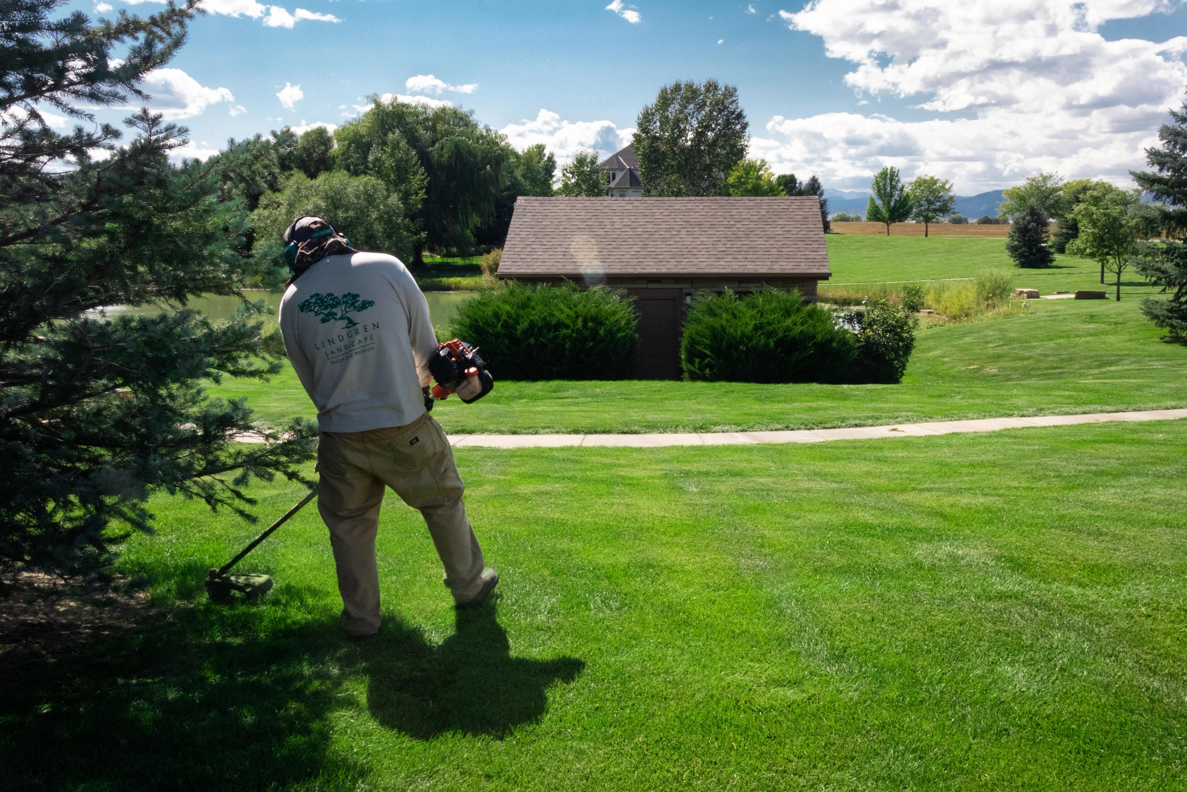 Full Service Lawn Care Management in Fort Collins, CO