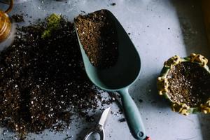 food-produce-soil-gardening-trowel-pots