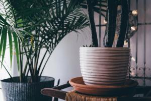 table-wood-flower-vase-decoration-lighting-indoor-plants