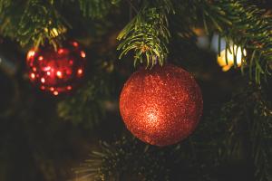 tree-branch-light-holiday-christmas-fir