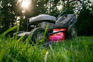 work-grass-field-lawn-wheel-summer-mower