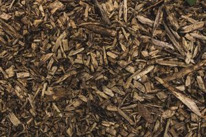 plant-tea-texture-leaf-flower-bark-mulch