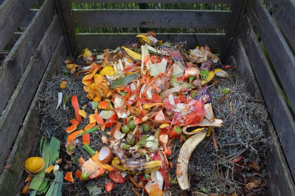 Compost your yard waste