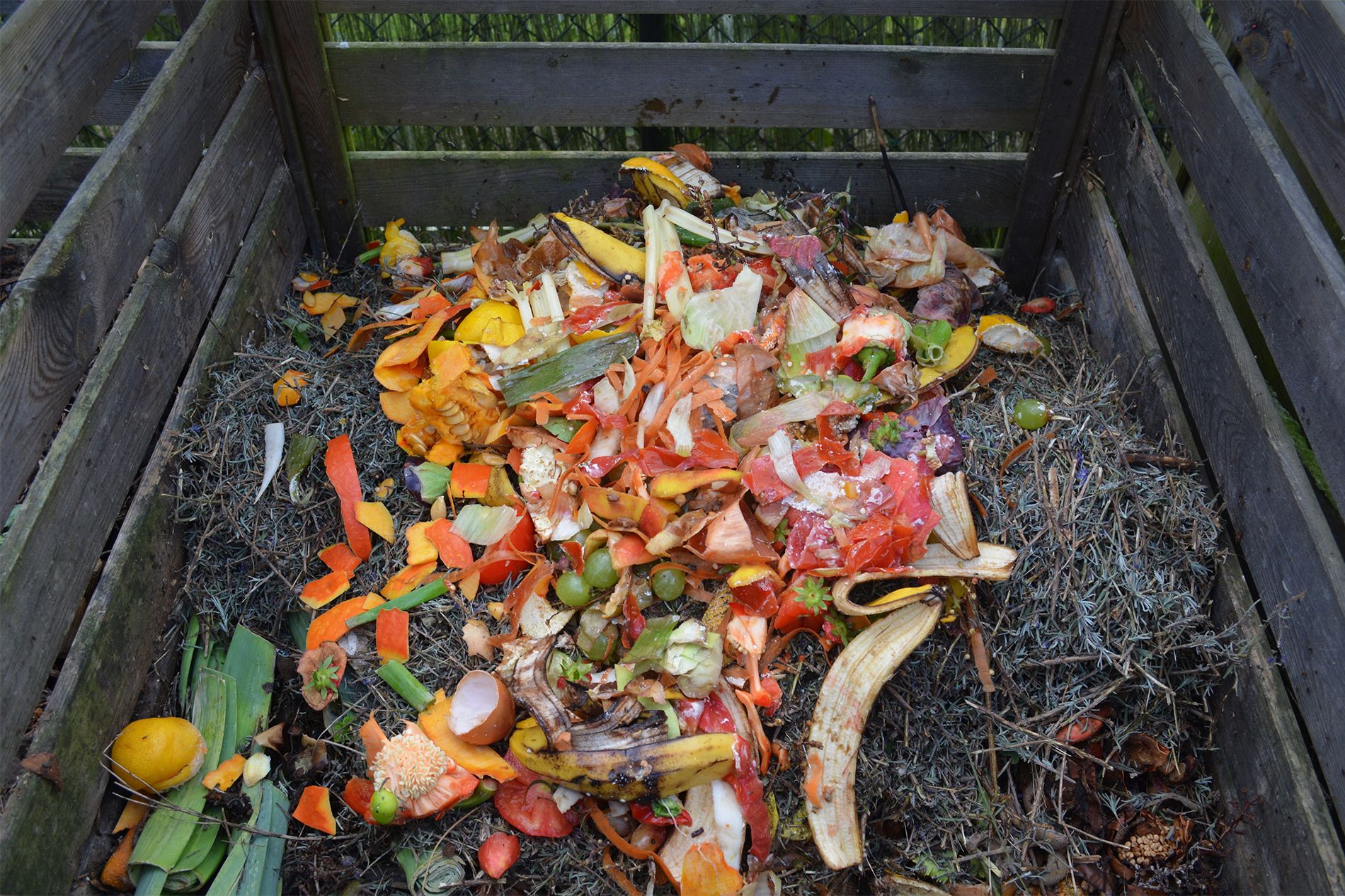Compost your yard waste