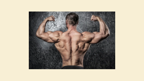 Athlete Muscle Recovery