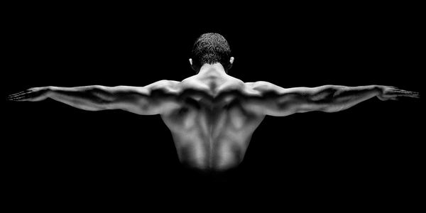 black and white back view of man | bodybuilding poses