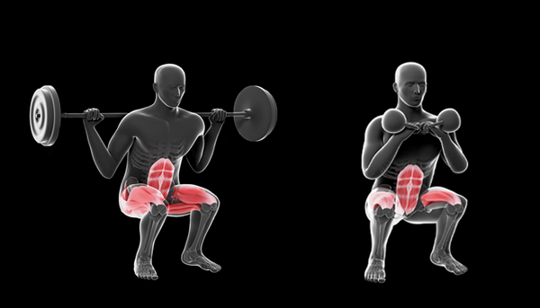 dumbbell squats muscles worked
