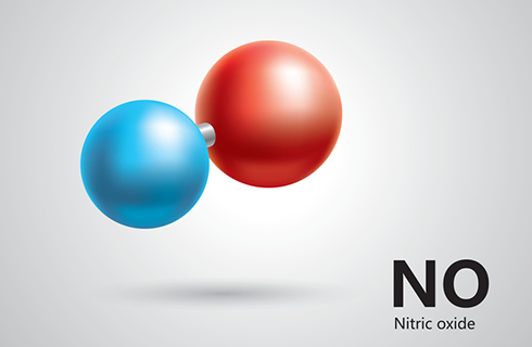 nitric oxide chemical makeup | nitric oxide