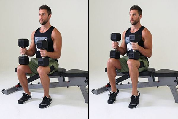 seated calf raise | lower body workout