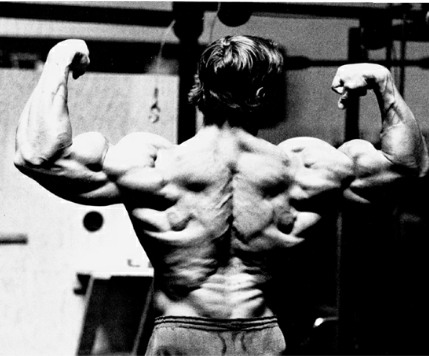 arnold back double bicep | bodybuilding poses