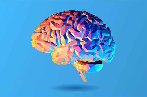 image of papier mache brain | phosphatidylserine