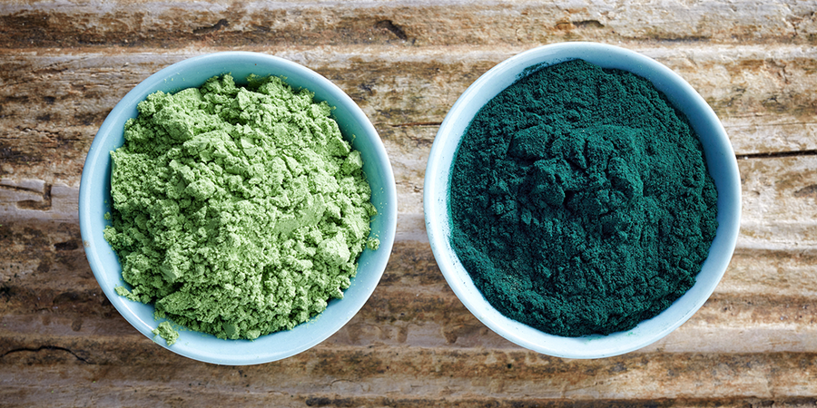 two bowls of green powder | chlorella vs spirulina
