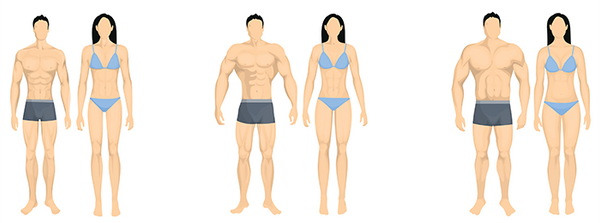 Illustration Female Body Endomorph Body Type Characterized Higher