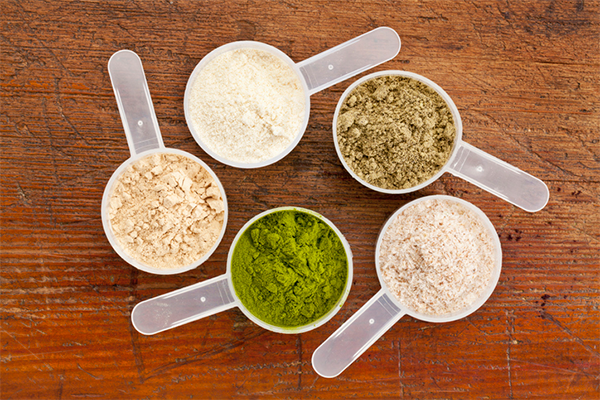 plant protein scoops | creatine and protein