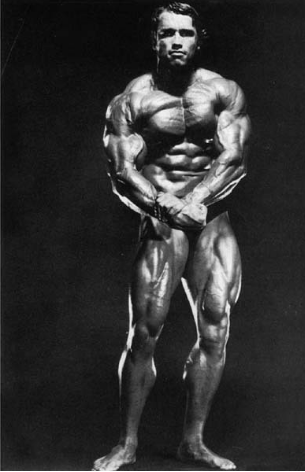 arnold most muscular | bodybuilding poses