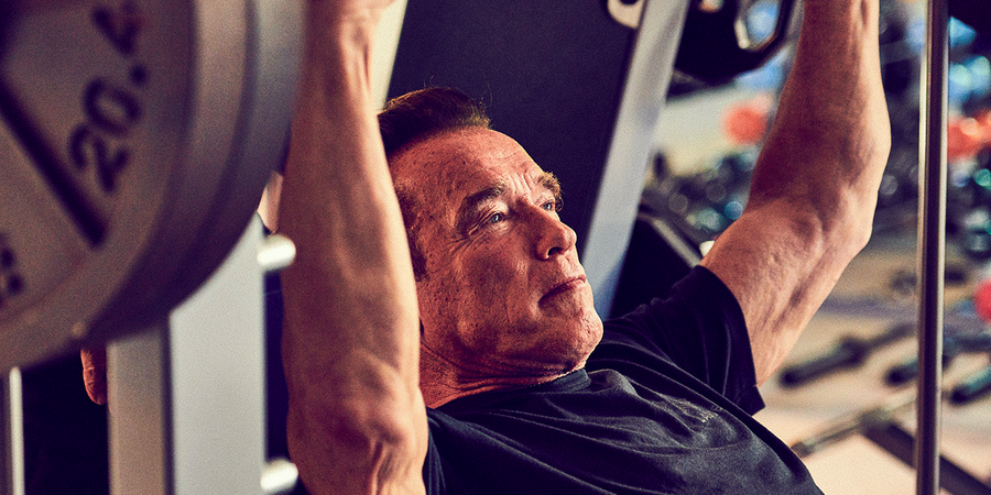 arnold how to start