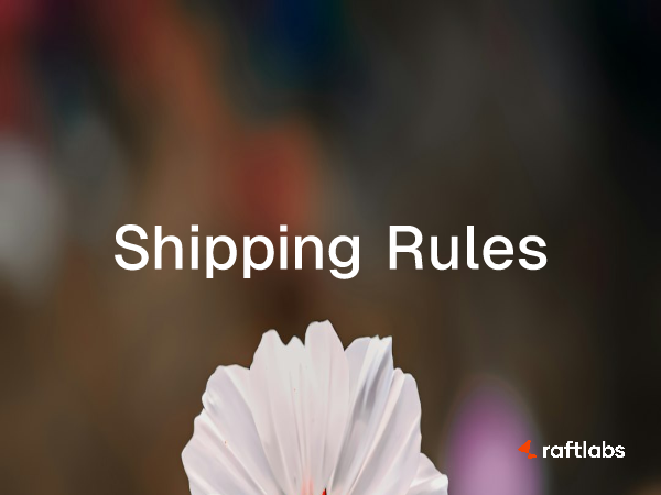 8 best Shipping Rules apps for Shopify store in 2024