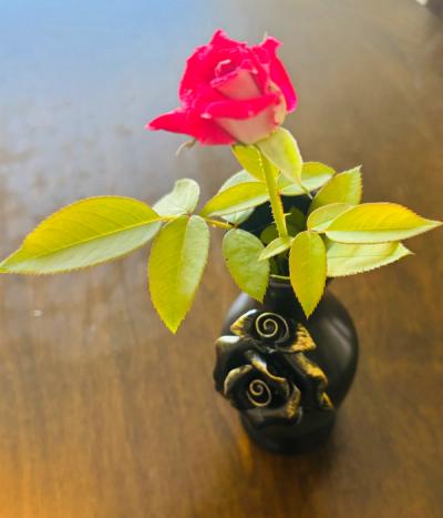 Rose in black vase