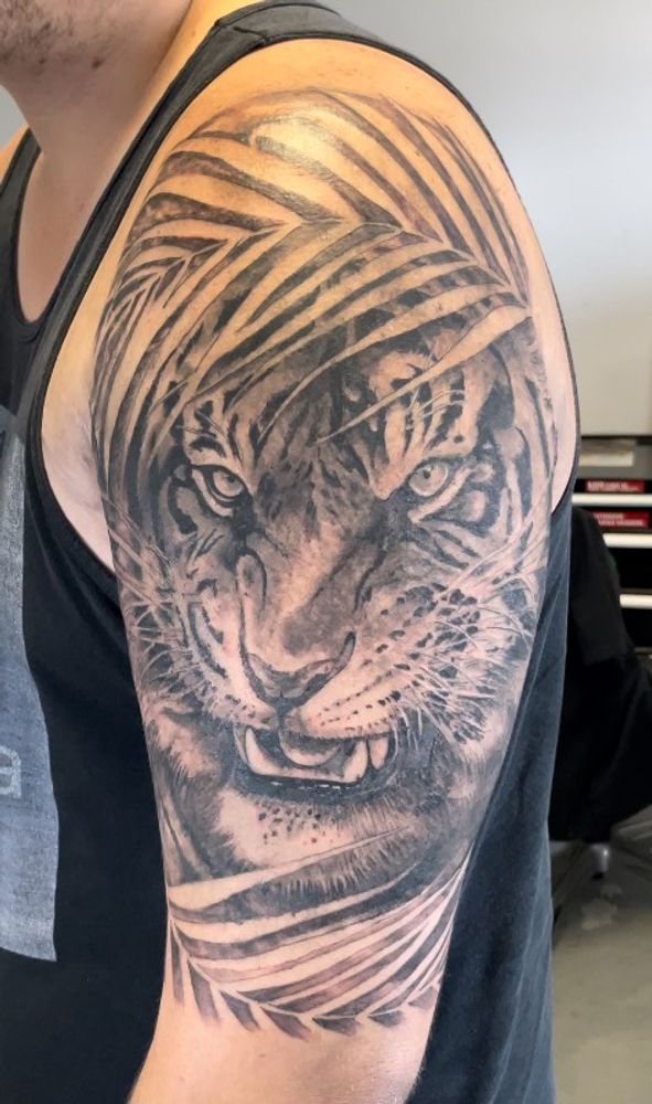 Tiger in Black and Grey