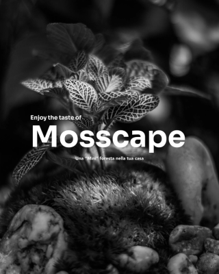 Mosscape: interfaccia bianco e nero con piante dettagliate, testo tipografico minimale su sfondo naturale sfocato