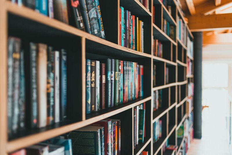Rak buku di sebuah perpustakaan sekolah, melambangkan dasar bahasa dan kurikulum kebangsaan