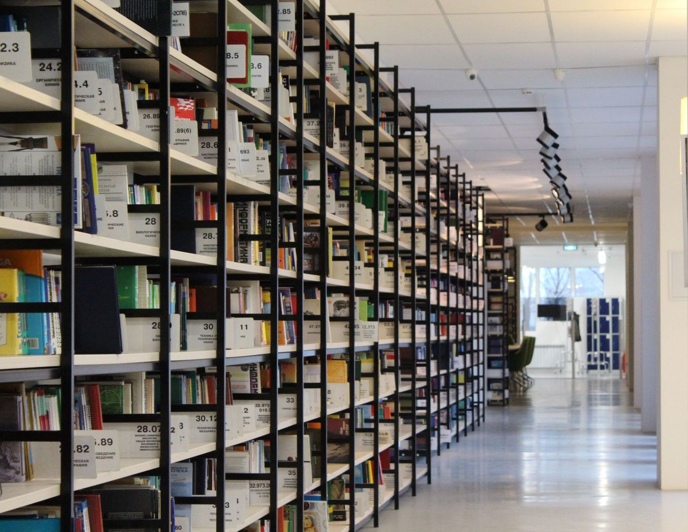 Rak buku panjang di sebuah perpustakaan sekolah