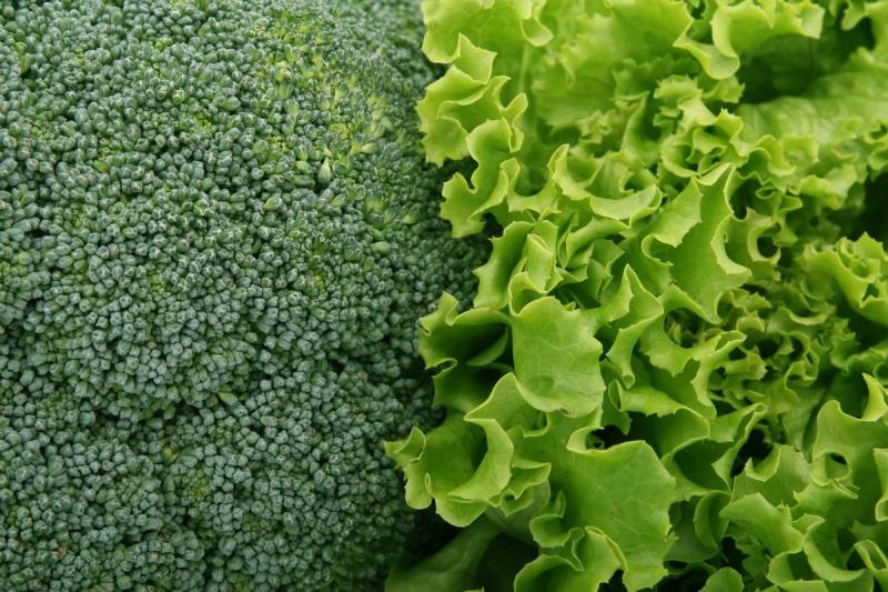 Sayur-sayuran segar dan makanan sihat di atas meja sebagai simbol pemakanan seimbang untuk mencegah penyakit tidak berjangkit