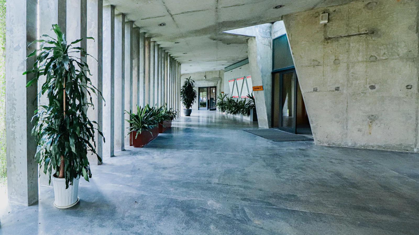 灰色無縫拋光混凝土地坪的現代建築走廊，搭配室內植栽與清水模柱列