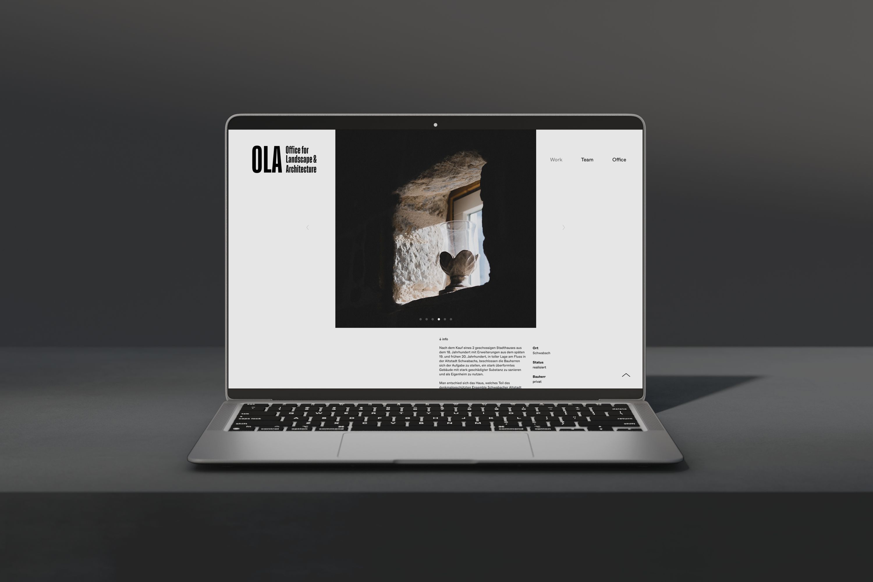 webdesign for OLA