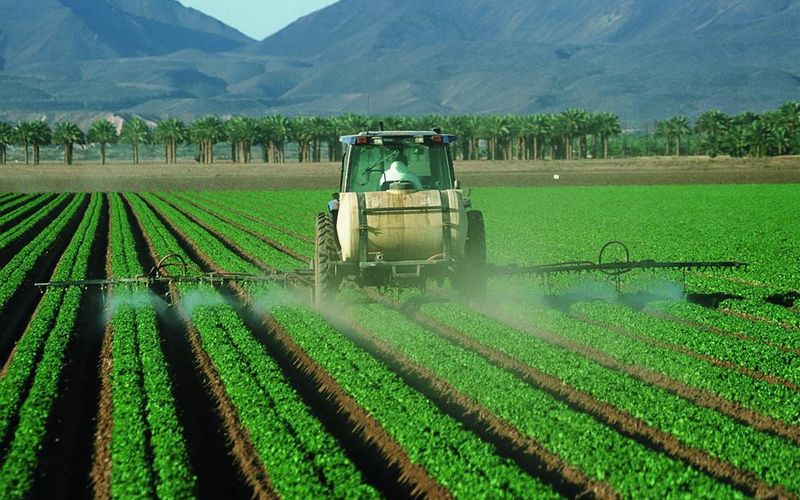 Pesticides: is the environment poisoned?