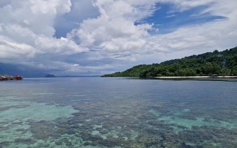 Water Diplomacy and Blue Peace