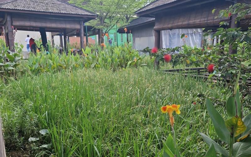 GIWEH's first mission to Indonesia