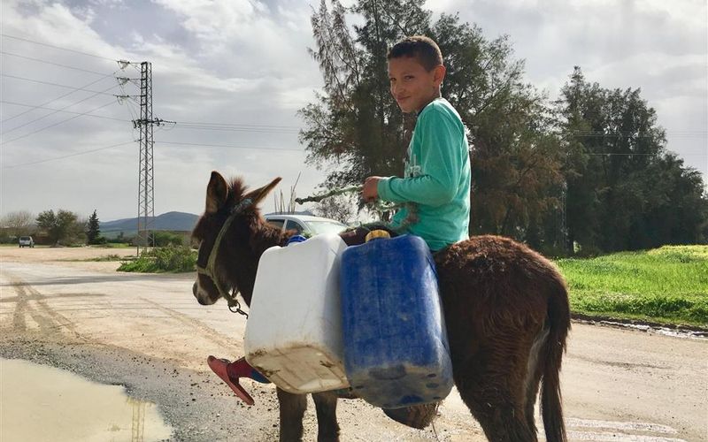 Water For Rural Development - 08/03 to 12/03 Field visit in Tunisia by GIWEH, KRC and UTAP