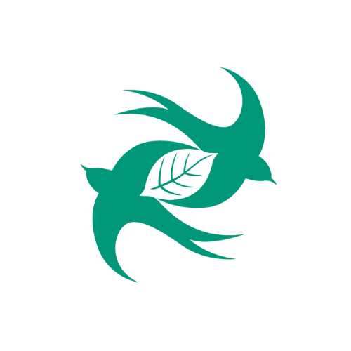 Welcome to Bligh House – An Innovation in SEND